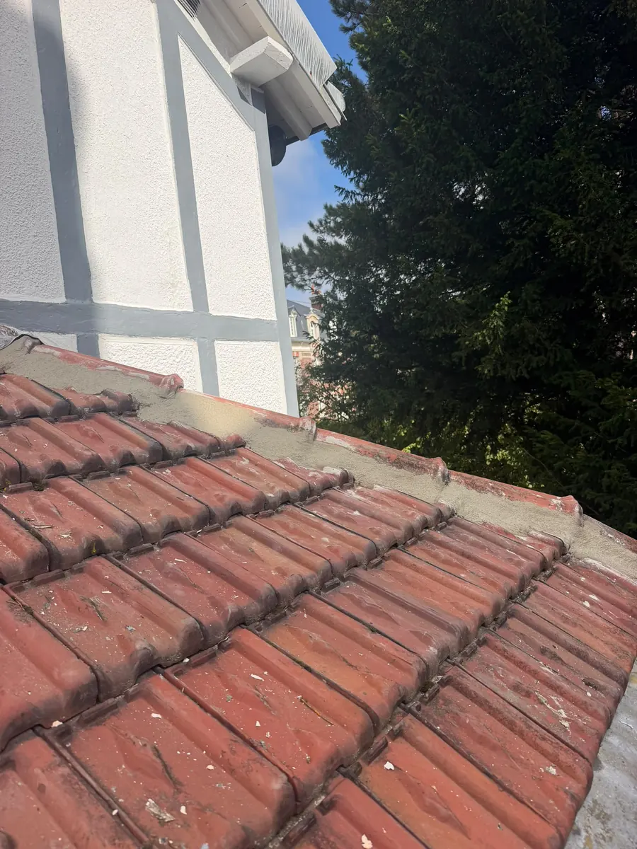 Jonction entre une toiture en tuiles mécaniques rouges et un mur à colombages gris et blanc, reprise au mortier frais sur toute la longueur, grand conifère à côté