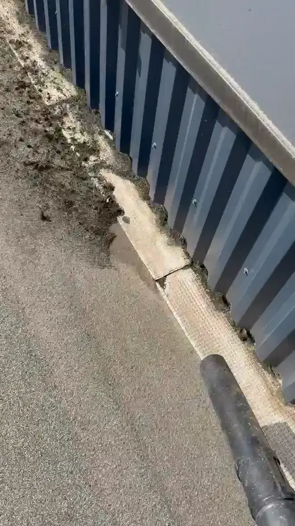 Croûte de mousse et de lichen accumulée au pied de l'acrotère d'une toiture-terrasse, avant nettoyage